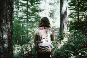 winding path personal growth