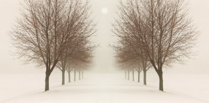 snow day