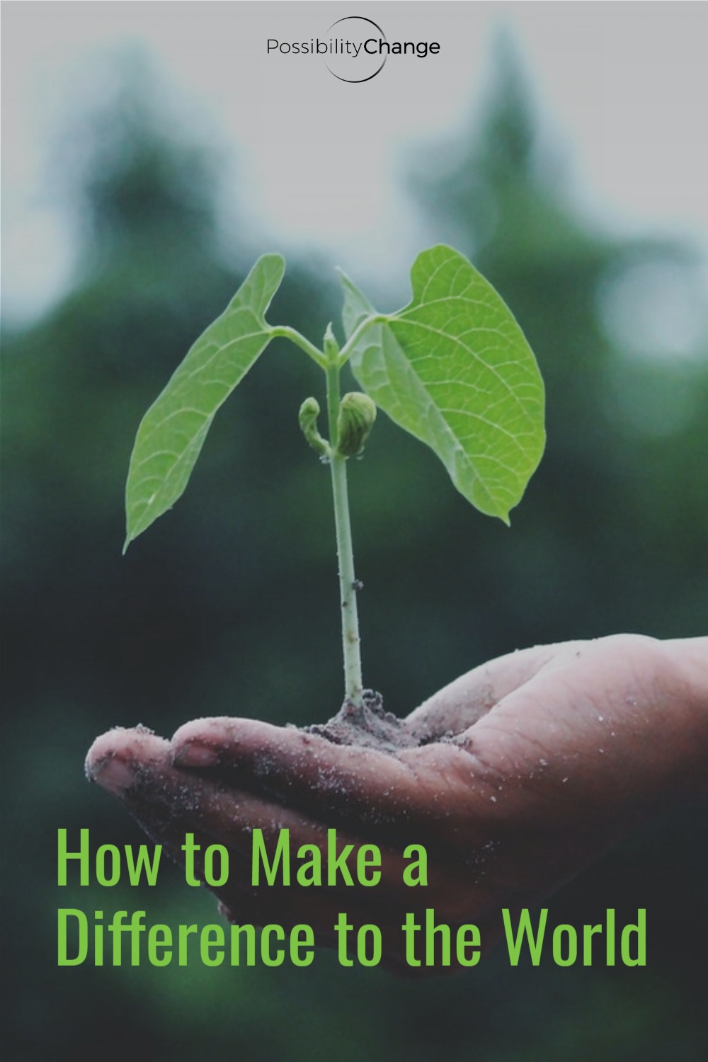 How to Make a Difference to the World