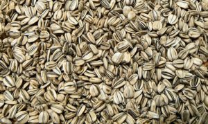 sunflower seeds