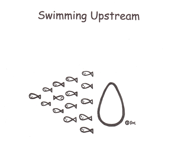 swimming upstream